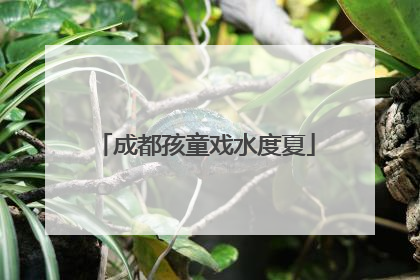 成都孩童戏水度夏