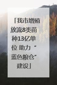 我市增殖放流8类苗种13亿单位 助力“蓝色粮仓”建设