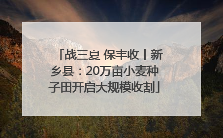 战三夏 保丰收丨新乡县：20万亩小麦种子田开启大规模收割