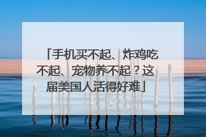 手机买不起、炸鸡吃不起、宠物养不起？这届美国人活得好难
