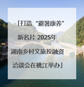 打造“避暑康养”新名片 2025年湖南乡村文旅投融资洽谈会在桃江举办