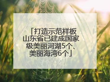 打造示范样板 山东省已建成国家级美丽河湖5个、美丽海湾6个