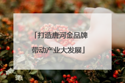 打造唐河金品牌 带动产业大发展
