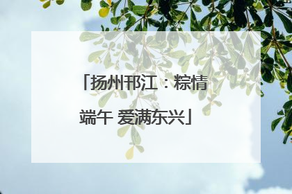 扬州邗江：粽情端午 爱满东兴