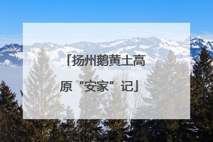 扬州鹅黄土高原“安家”记
