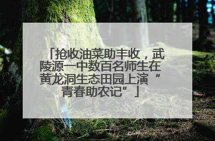 抢收油菜助丰收，武陵源一中数百名师生在黄龙洞生态田园上演“青春助农记”