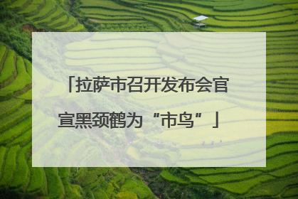 拉萨市召开发布会官宣黑颈鹤为“市鸟”