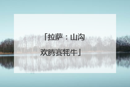拉萨：山沟欢腾赛牦牛