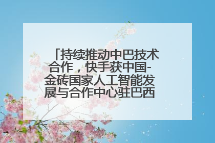 持续推动中巴技术合作，快手获中国-金砖国家人工智能发展与合作中心驻巴西成果转化中心授牌