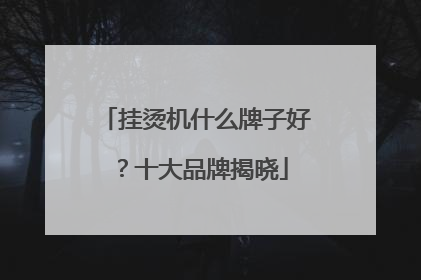 挂烫机什么牌子好？十大品牌揭晓