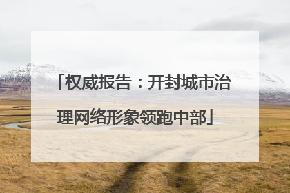 权威报告：开封城市治理网络形象领跑中部