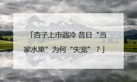 杏子上市遇冷 昔日“当家水果”为何“失宠”？