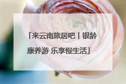 来云南旅居吧丨银龄康养游 乐享慢生活