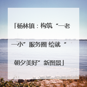 杨林镇：构筑“一老一小”服务圈 绘就“朝夕美好”新图景
