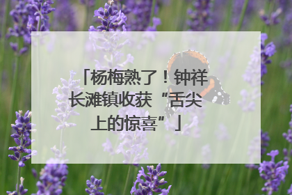 杨梅熟了！钟祥长滩镇收获“舌尖上的惊喜”