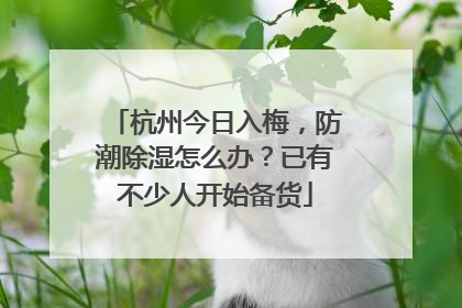 杭州今日入梅，防潮除湿怎么办？已有不少人开始备货