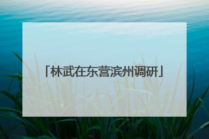 林武在东营滨州调研