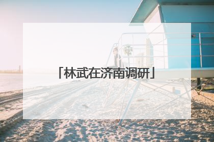 林武在济南调研
