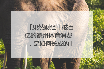 果然财经丨破百亿的德州体育消费，是如何长成的