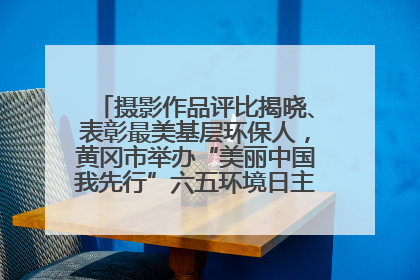 摄影作品评比揭晓、表彰最美基层环保人，黄冈市举办“美丽中国我先行”六五环境日主题宣传活动