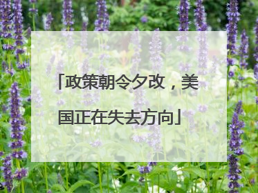 政策朝令夕改，美国正在失去方向