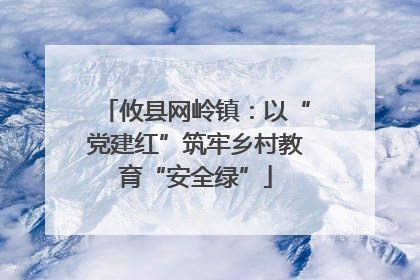攸县网岭镇：以“党建红”筑牢乡村教育“安全绿”