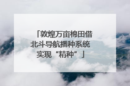 敦煌万亩棉田借北斗导航播种系统实现“精种”