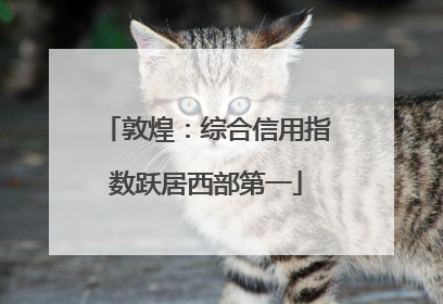 敦煌：综合信用指数跃居西部第一