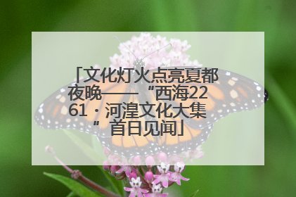 文化灯火点亮夏都夜晚——“西海2261・河湟文化大集”首日见闻