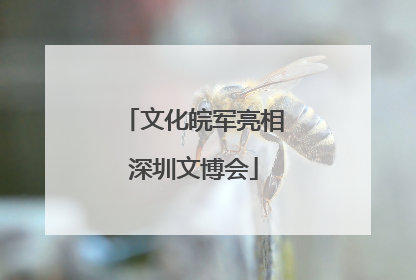 文化皖军亮相深圳文博会
