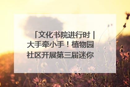 文化书院进行时｜大手牵小手！植物园社区开展第三届迷你马拉松活动