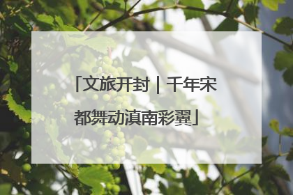 文旅开封｜千年宋都舞动滇南彩翼