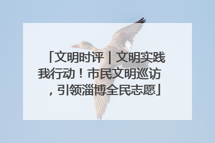 文明时评｜文明实践我行动！市民文明巡访，引领淄博全民志愿