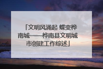 文明风涌起 蝶变桦南城——桦南县文明城市创建工作综述