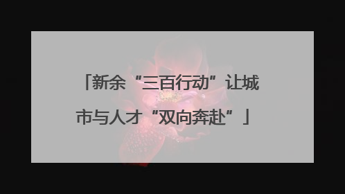 新余“三百行动”让城市与人才“双向奔赴”