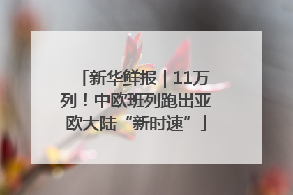 新华鲜报｜11万列！中欧班列跑出亚欧大陆“新时速”