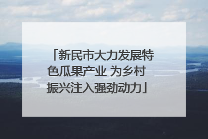 新民市大力发展特色瓜果产业 为乡村振兴注入强劲动力