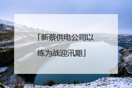 新蔡供电公司以练为战迎汛期