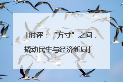 时评：“方寸”之间，撬动民生与经济新局