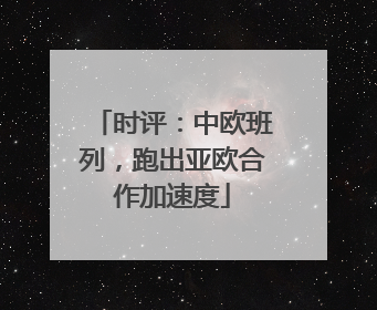 时评：中欧班列，跑出亚欧合作加速度