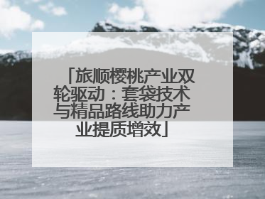 旅顺樱桃产业双轮驱动：套袋技术与精品路线助力产业提质增效