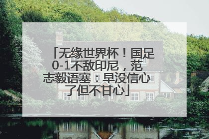 无缘世界杯！国足0-1不敌印尼，范志毅语塞：早没信心了但不甘心