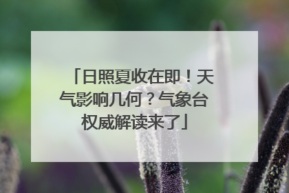 日照夏收在即！天气影响几何？气象台权威解读来了