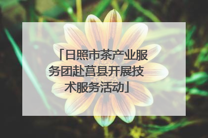日照市茶产业服务团赴莒县开展技术服务活动