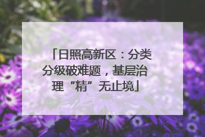 日照高新区：分类分级破难题，基层治理“精”无止境