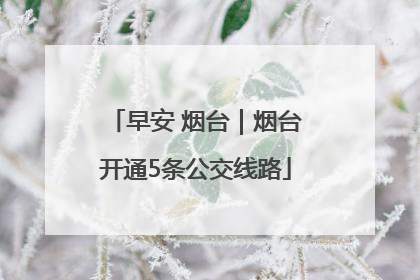 早安 烟台｜烟台开通5条公交线路