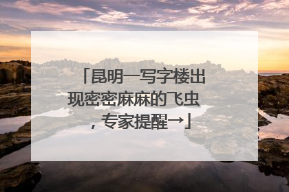 昆明一写字楼出现密密麻麻的飞虫，专家提醒→