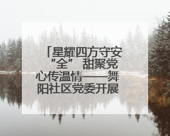 星耀四方守安“全” 甜聚党心传温情——舞阳社区党委开展流动党员建党节主题活动