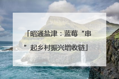 昭通盐津：蓝莓“串”起乡村振兴增收链