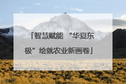 智慧赋能 “华夏东极”绘就农业新画卷
